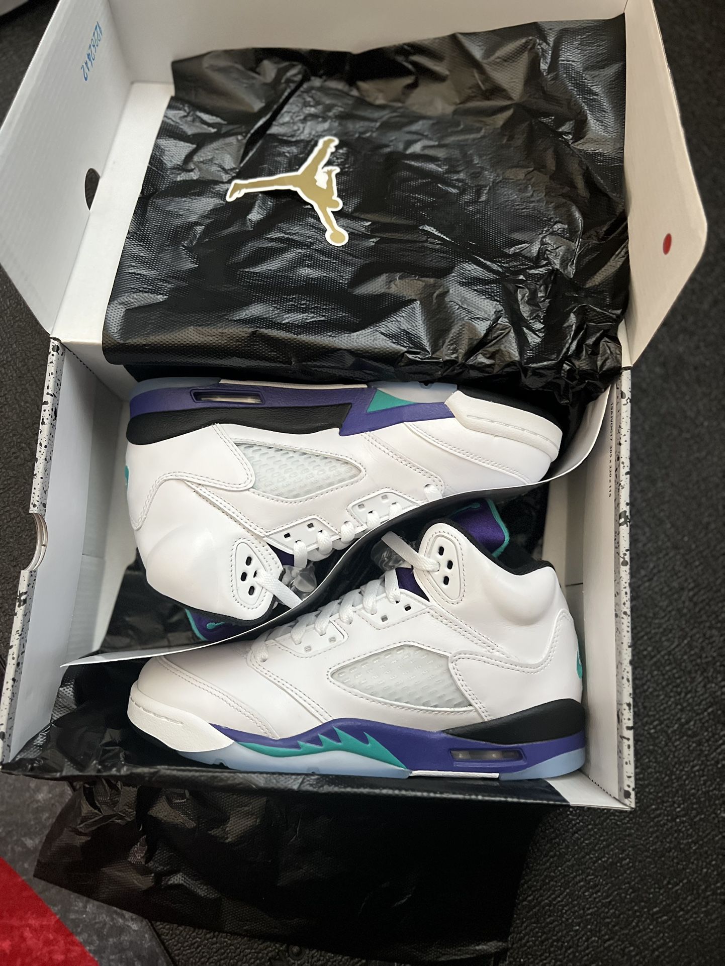 Jordan Air 5 Retro OG [Grape]