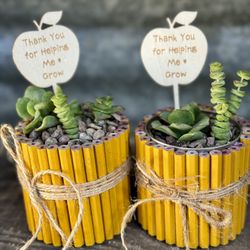 Teacher Appreciation Plant Gifts