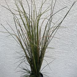 Artificial Plant 42” Tall 