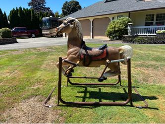 wonder horse