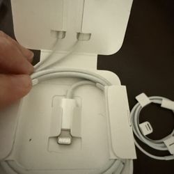 Charger And Apple Head Phones 