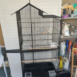 Black Bird Cages 