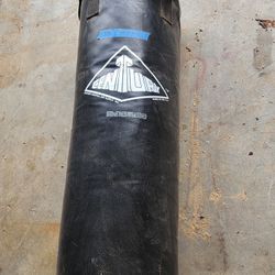 Punching Bag