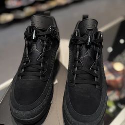 Nike Air Jordan Black Cat