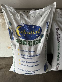 Turf Seed