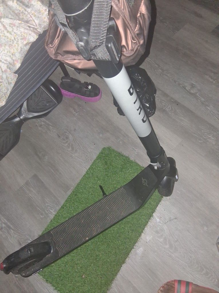 Bird Scooter