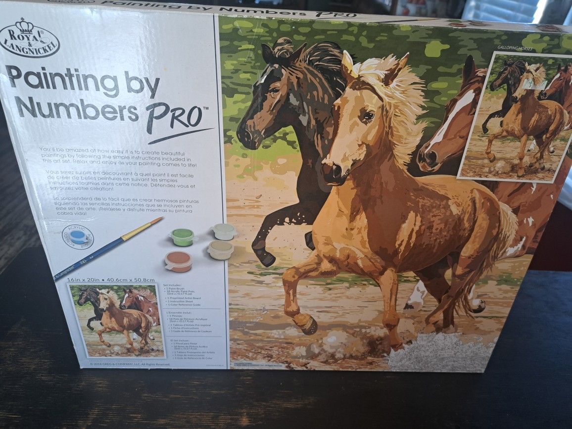 Paint By Numbers Pro Kit
