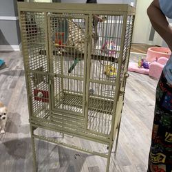 Bird Cage 