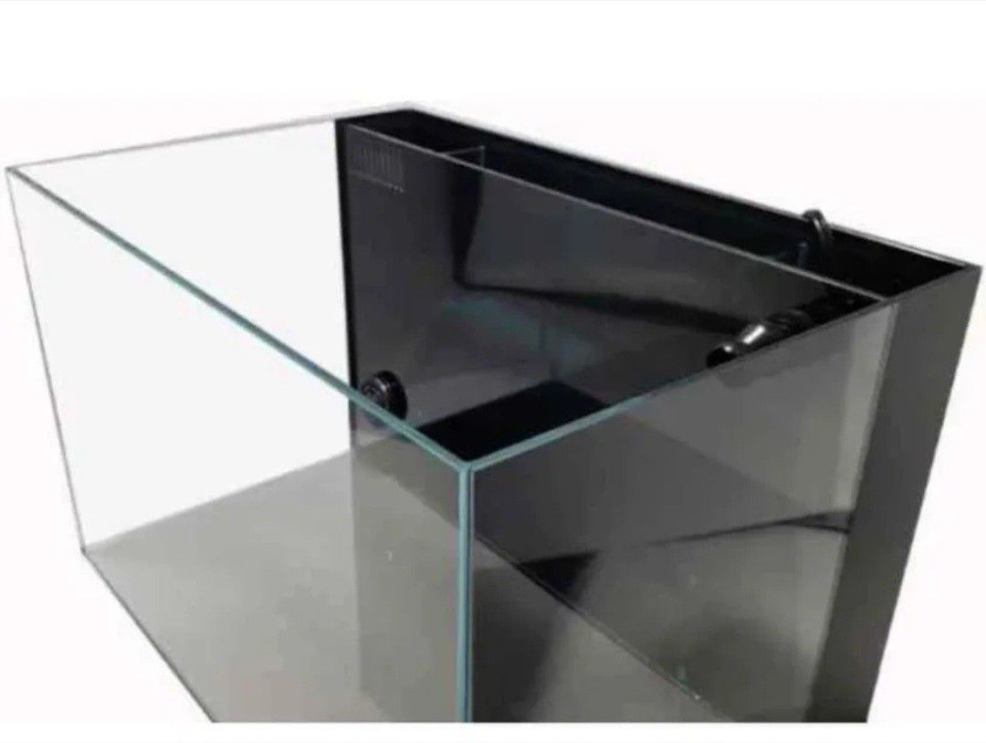 Aquarium Lifeguard Aquatics Rimless AIO 24 Gallon Low Iron Glass Fish Tank