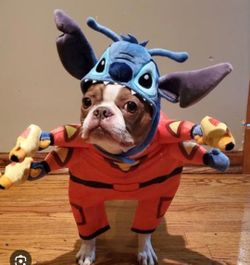 Stitch - Dog Halloween Costume