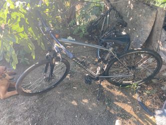 crosstrail specialized bike