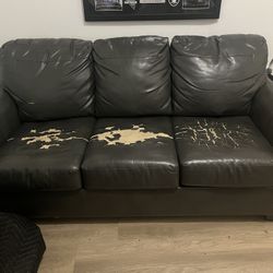 Free pull out Couch 