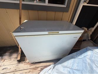 CHEST FREEZER