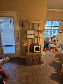 6'3" cat tree