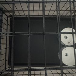 Dog  Crate $45