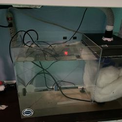 Sump Fish Tank Filter 