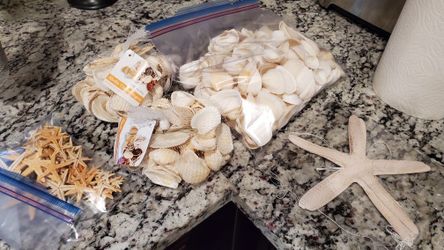 White Seashells, Starfish, and Starfish Banner