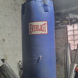 Everlast Punching Bag