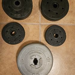 Exercise Lifting Weights - Plates