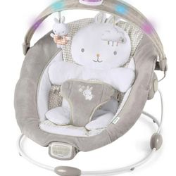 Baby Bouncer Seat 