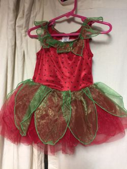 Gymboree Fairy Costume
