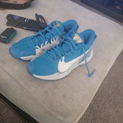 Nike Zoom Freak #2 SE