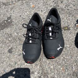 Pumas Shoes