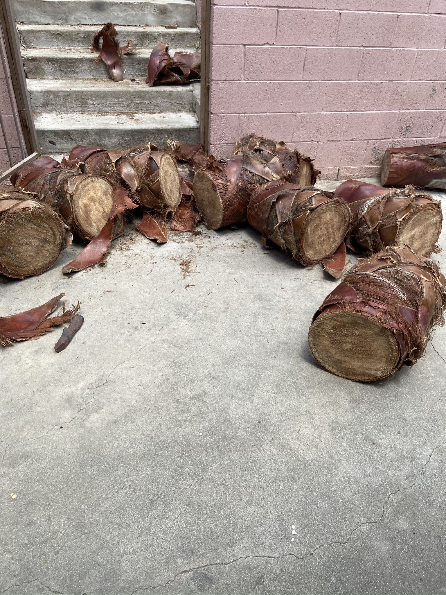 Plant Stands $45 For as Many As You Want Or $6 Each