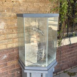 30 gallon aquarium With Stand