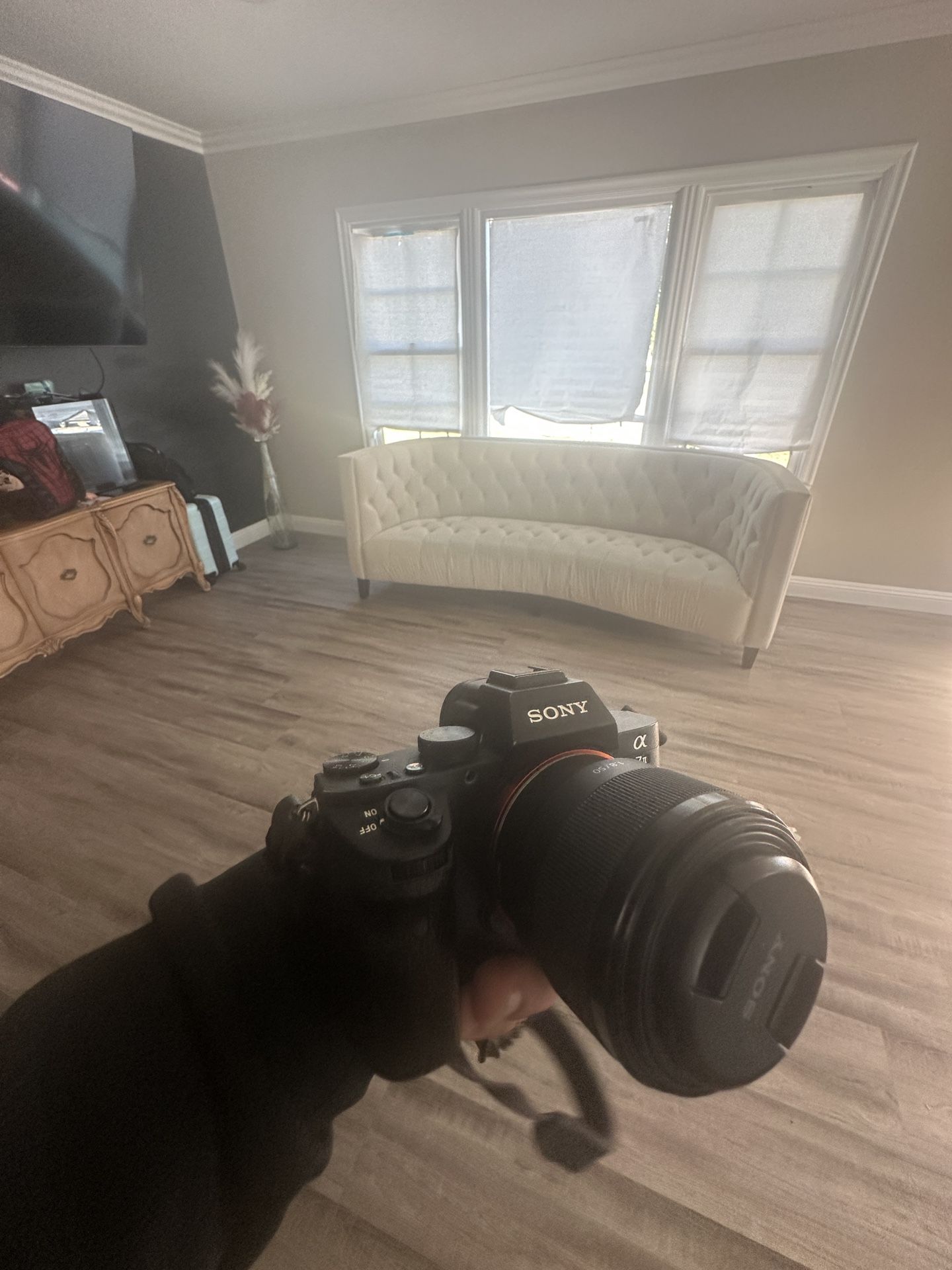 Sony A7ii With A Lens FE 1.8/50