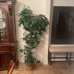 Artificial Plant/Tree