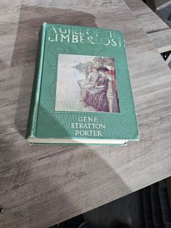 A Girl Of The Limberlost