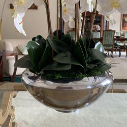 New Vase Large Open Box $350 Obo