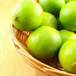 Standard Bear Lime Seedless Trees 😃😃😃😃🌿🌿🌿🌿