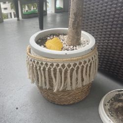 Basket