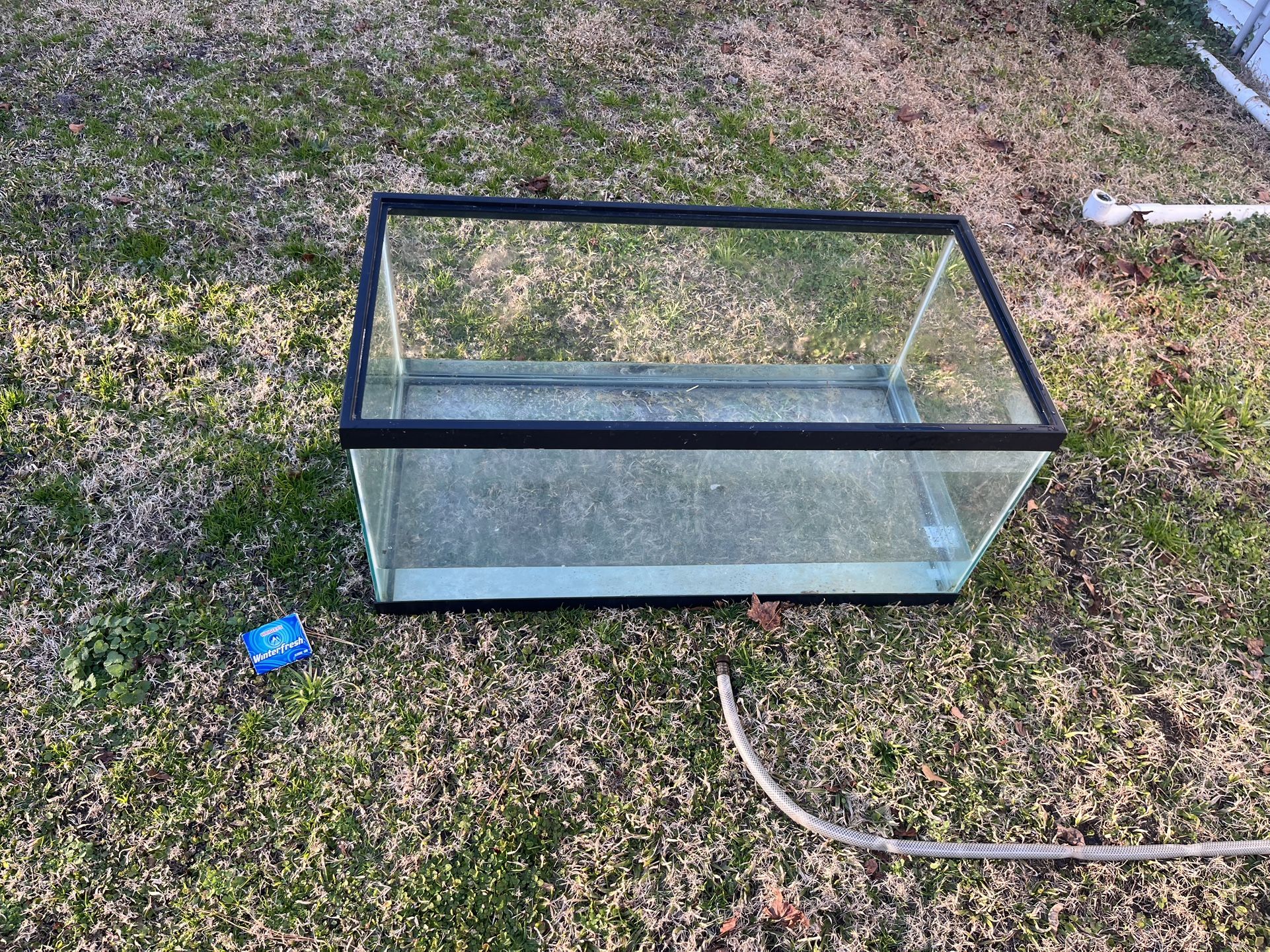 Aquatic Tank