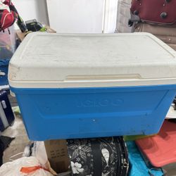 Igloos 48-Quart Hard-Sided Ice Chest Cooler with Swing-Up Handles, Quick-Access & Ultratherm Insulation for Camping, Tailgating, Beach & Outdoor Adven