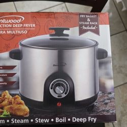 Deep Fryer