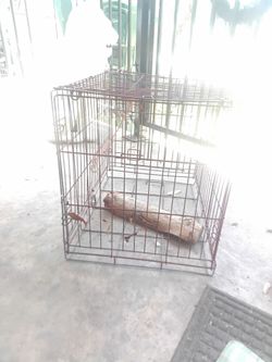 2 dog kennels