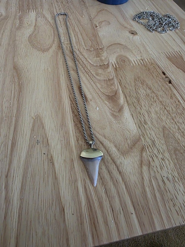 Authentic Shark Tooth Pendant Necklace