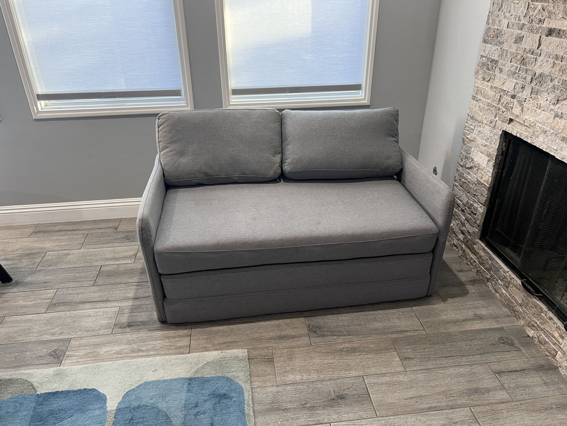 Sofa w/ Futon