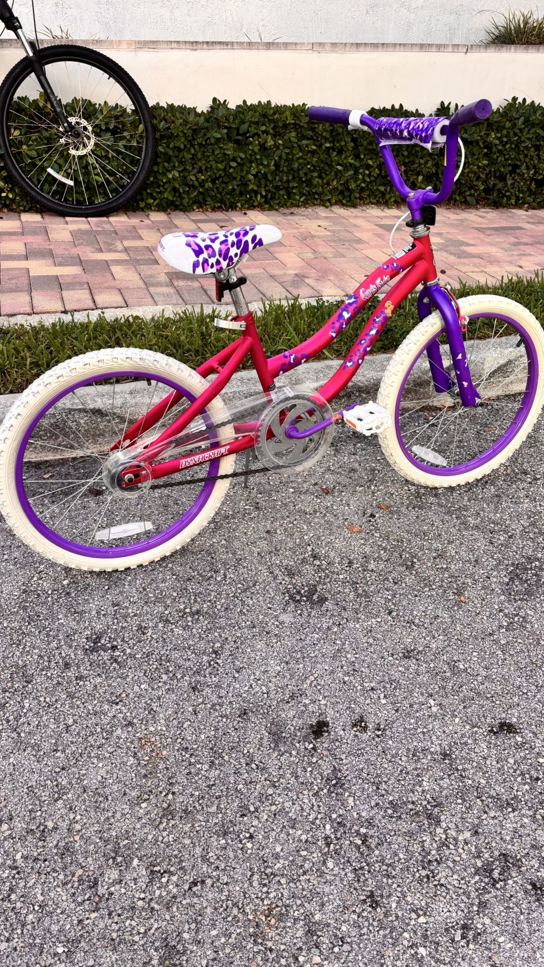 Beautiful Bike For Girls