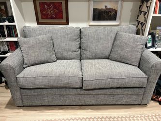 Free couch with sleeper sofa pullout