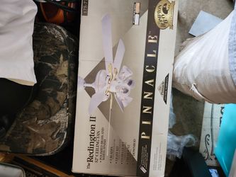 Ceiling fan (pinnacle)