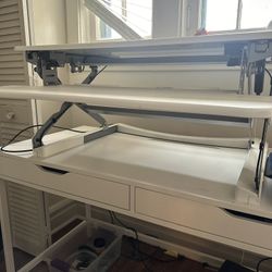 Adjustable Standing Desk (Flexispot)