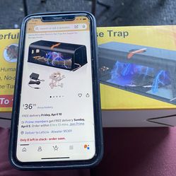 Electronic Mouse Trap