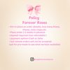 Eternal Roses