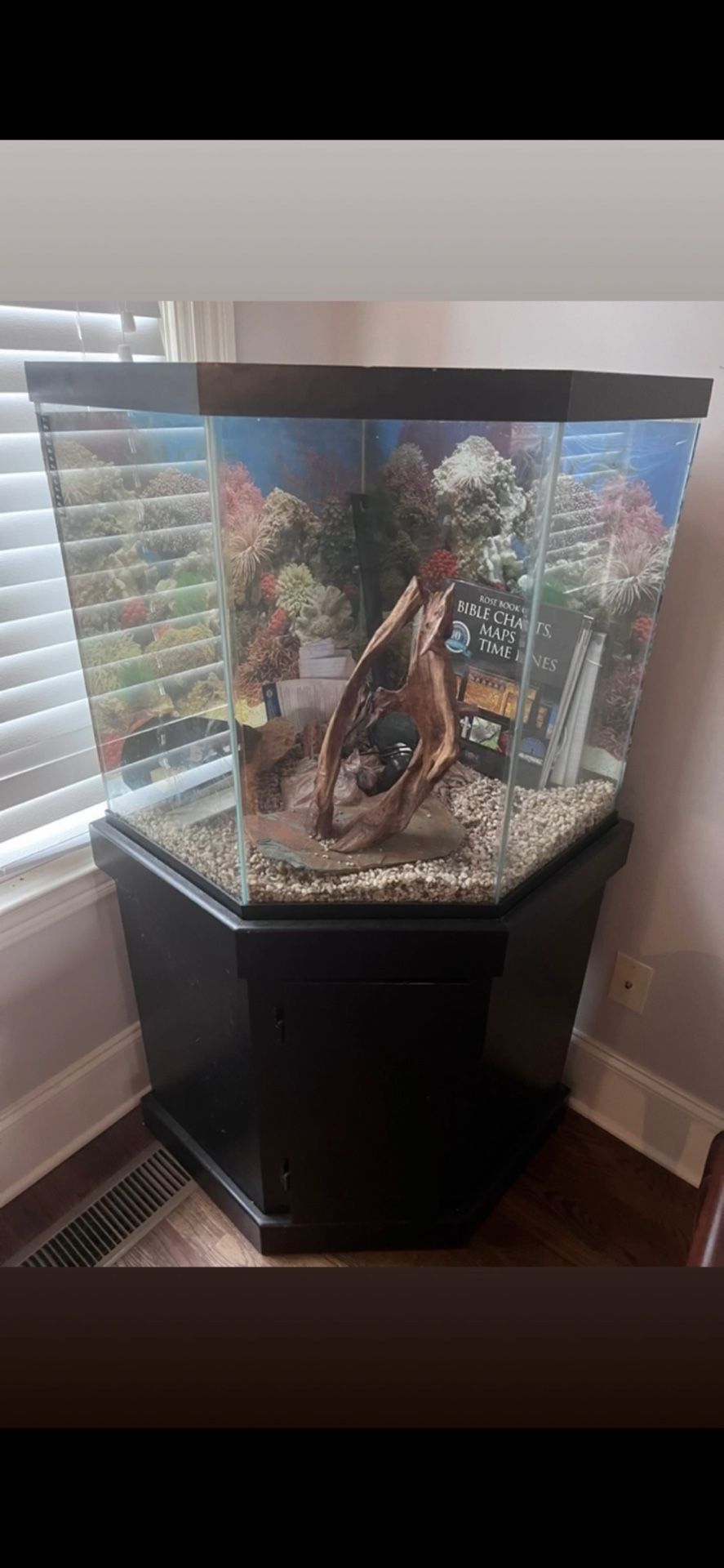 Fish Tank