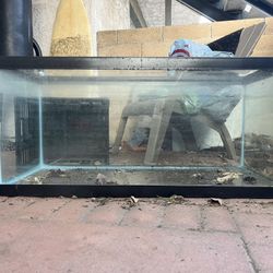 45 Gallon Aquarium/ Fish tank/ Turtle tank