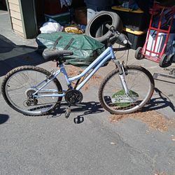 (3)  24in ROADMASTER MOUNTAIN BIKES